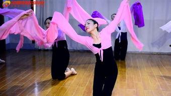 成人改善体态舞蹈视频,成人改善体态舞蹈教程精选