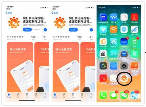 向日癸视频成人app,成人APP的隐秘世界