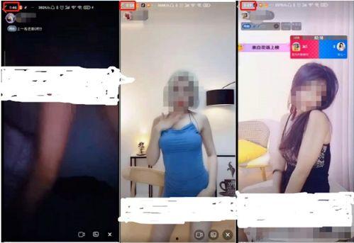 成人应看裸体视频